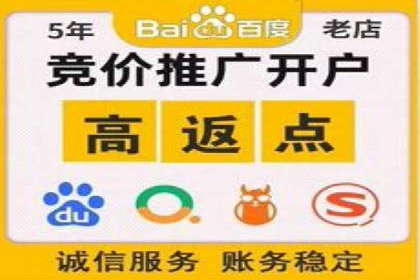 SEM搜索引擎优化实战案例：从失败到成功的优化历程